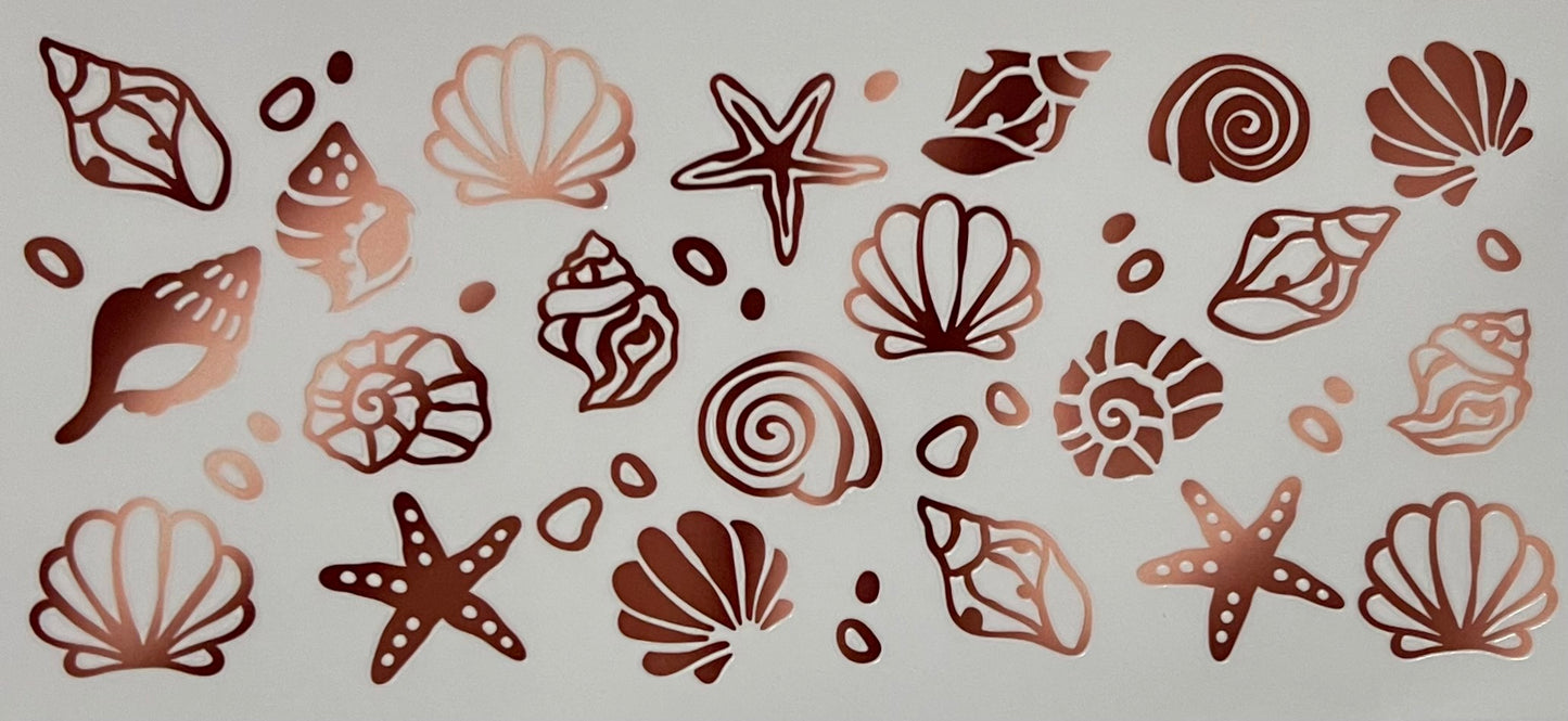 Shells brown and peach