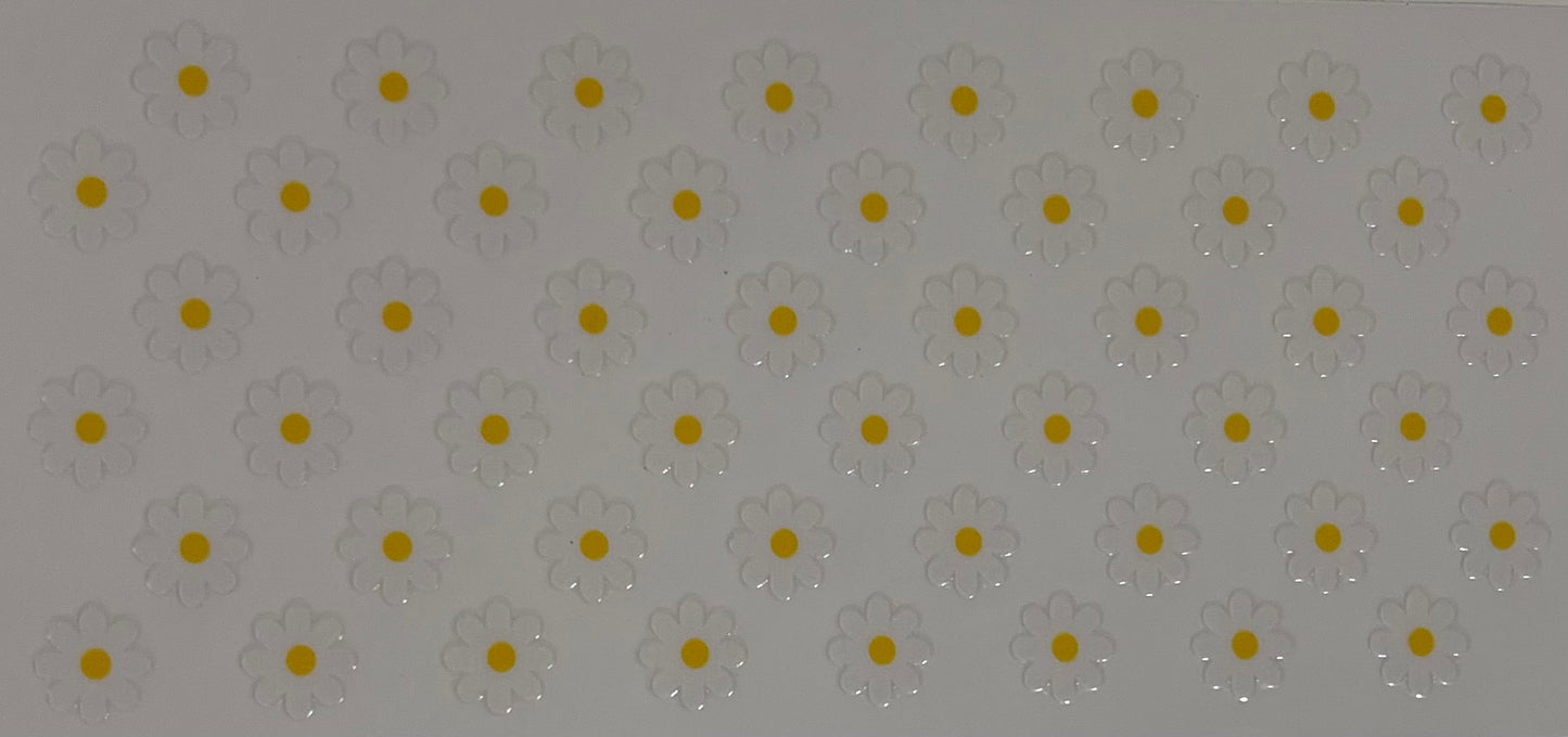 White and yellow flowers