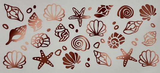 Shells brown and peach