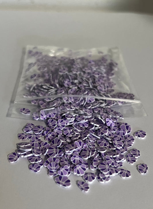 Seashells purple
