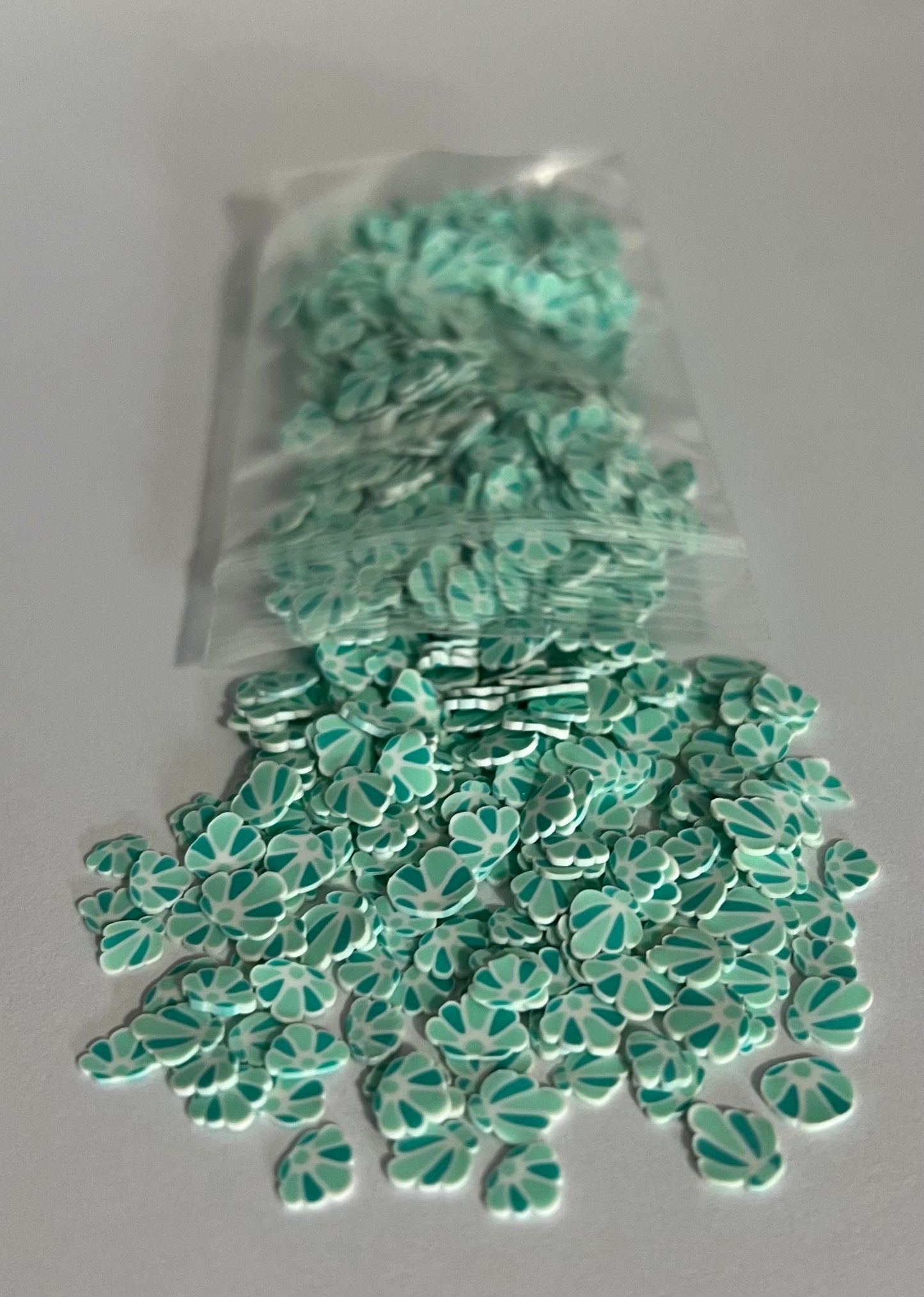 Seashells green