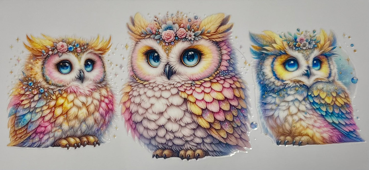 Owl 1